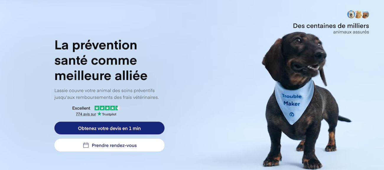 Avis Lassie Assurance Chien