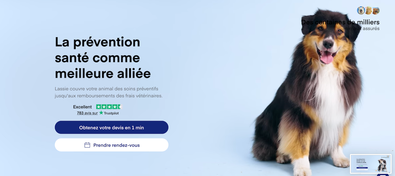 Meilleure assurance chien par race