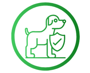 comparatif assurance santé chien adulte remboursement 2026