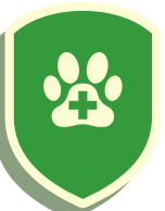 Dysplasie hanche Labrador opération