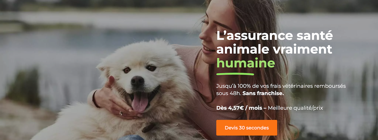 Comparatif Kozoo Lassie SantéVet