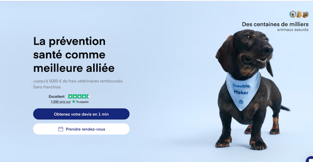 Comparatif Lassie vs Kozoo vs SantéVet 2026